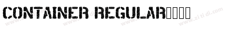 CONTAINER REGULAR字体转换